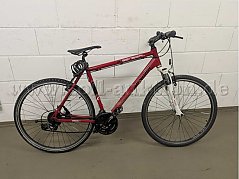 Trekkingrad rot Ansicht rechts