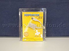 Ansicht der Auktionsware von vorne