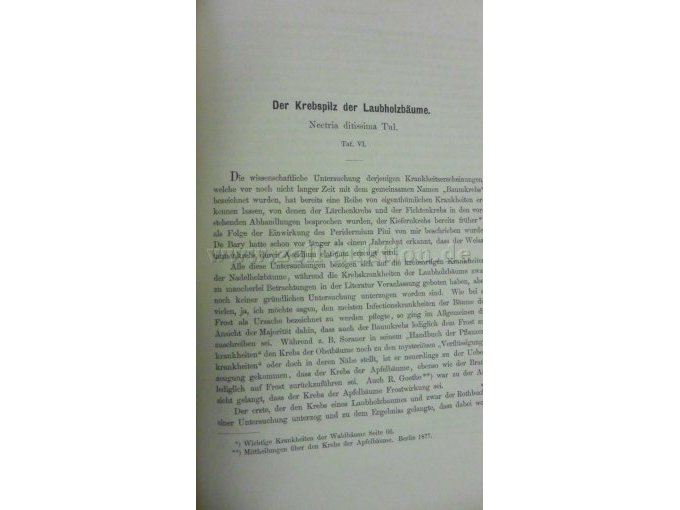 Der Krebspilz der Laubholzbäume