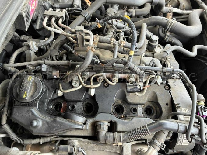 1 VW Amarok 2.0 TDI Doppelkabine – foto 19 – kavel bij Zoll-Auktion, Bielefeld
