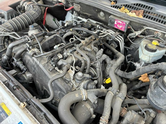1 VW Amarok 2.0 TDI Doppelkabine – foto 18 – kavel bij Zoll-Auktion, Bielefeld