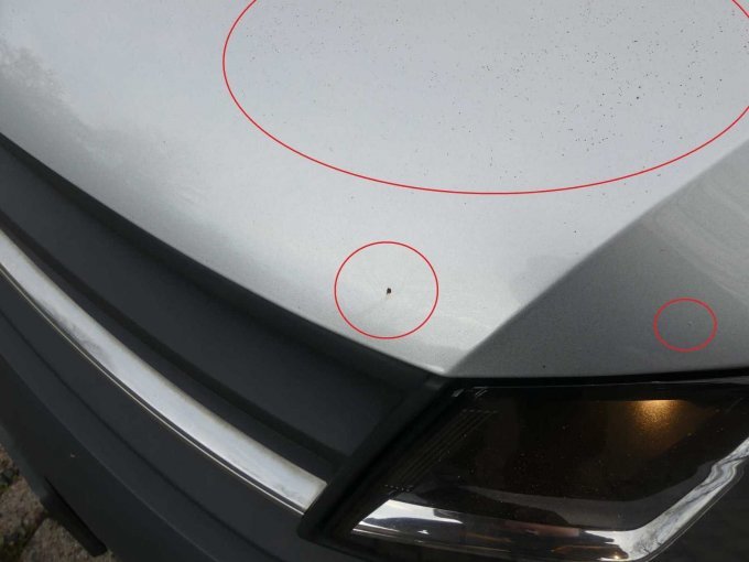 Beispiel-Schaden Motorhaube