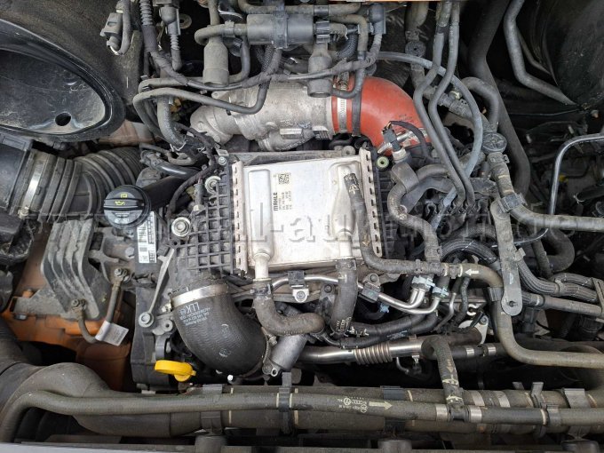 1 VW Crafter, Kasten, Allrad, Sortimo – foto 15 – kavel bij Zoll-Auktion, Meßstetten