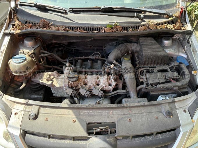 Motor