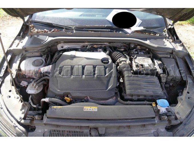 Motor