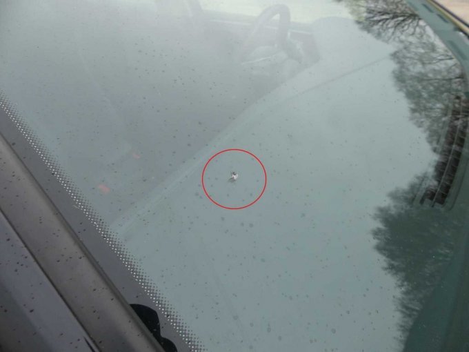 Beispiel-Schaden Windschutzscheibe