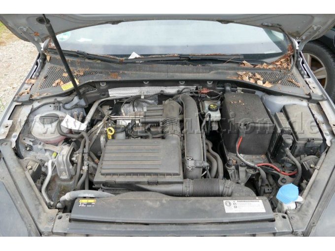 1 VW Golf VII TSI Allstar Bluemotion – foto 6 – kavel bij Zoll-Auktion, Wandlitz
