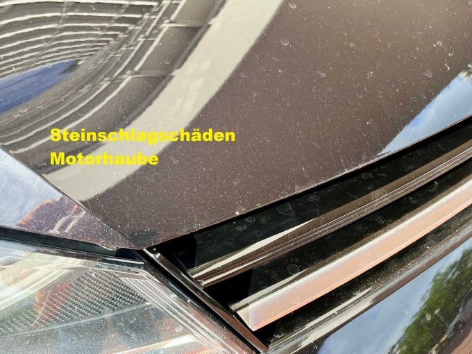 Steinschlagschäden Motorhaube