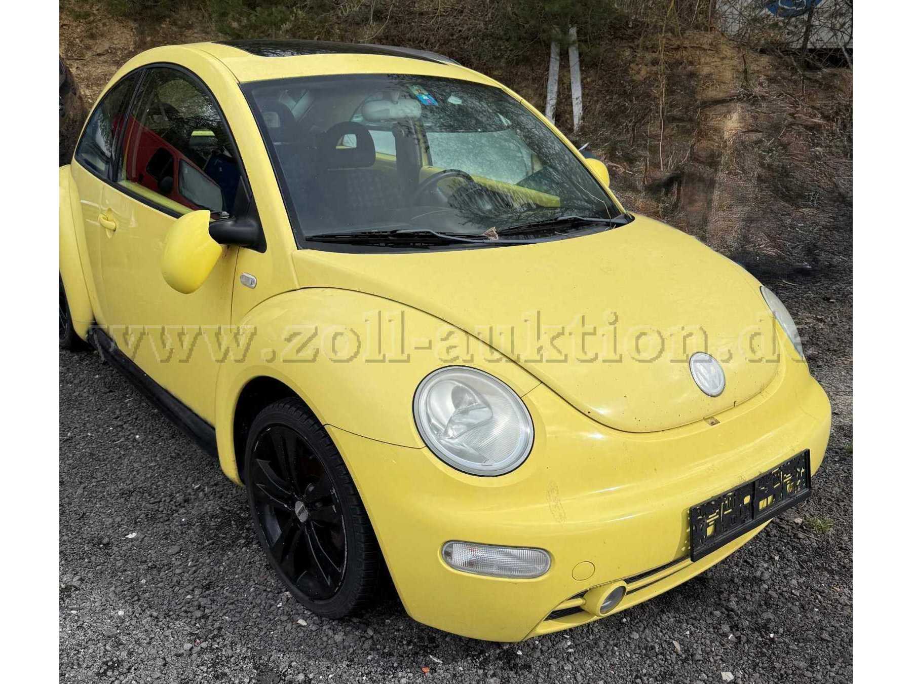 beetle front