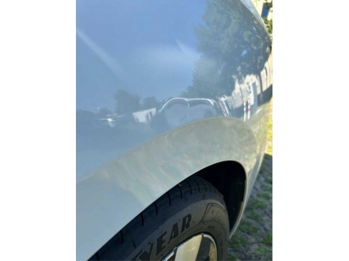 Dellen Radlauf hinten links