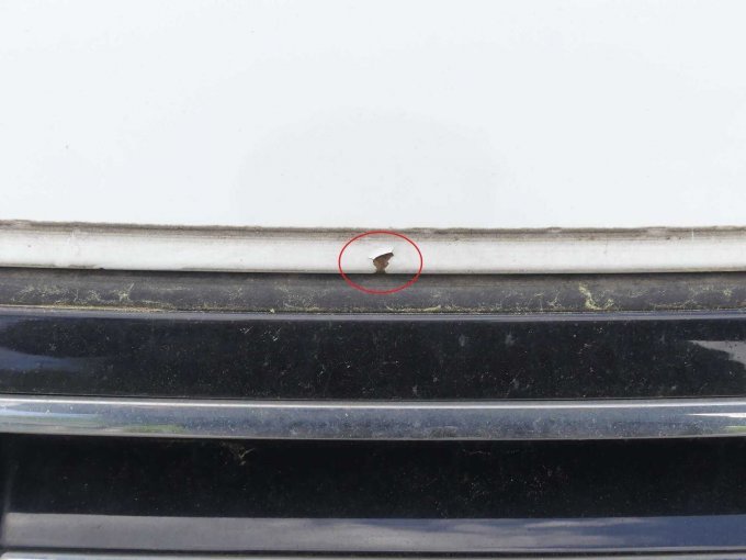 Lackschaden Motorhaube