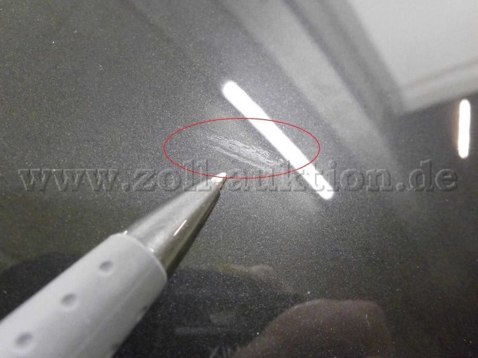 Motorhaube: Fleck Insekt/Baumharz