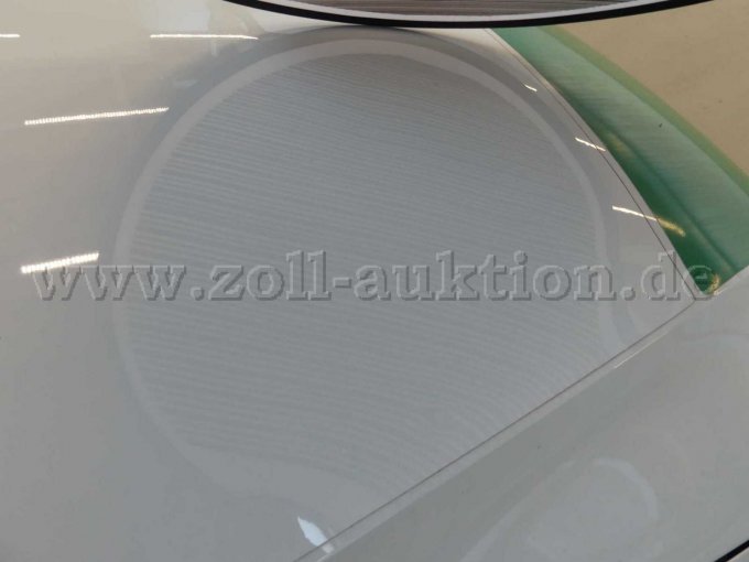 Hageldellen Motorhaube
