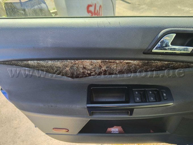 Verkleidung Fahrertür