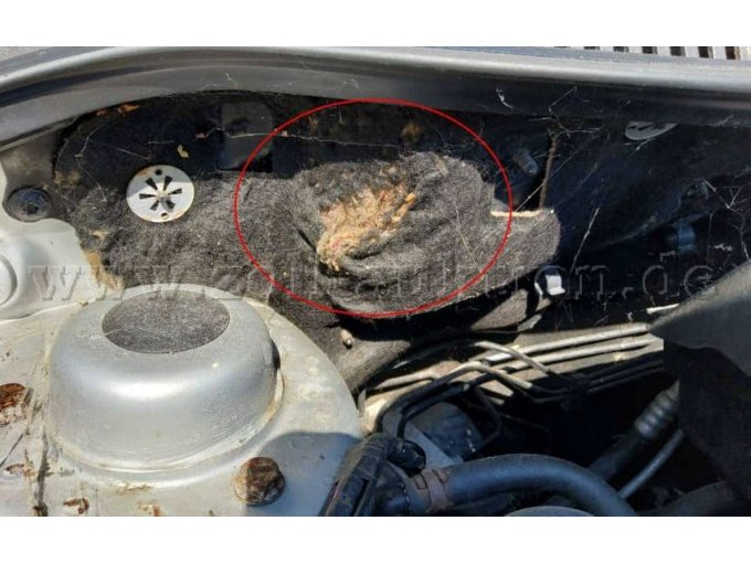 1 VW Polo IV 1.2 Goal, 3 Türer, EZ: 2006 – foto 5 – kavel bij Zoll-Auktion, Syke