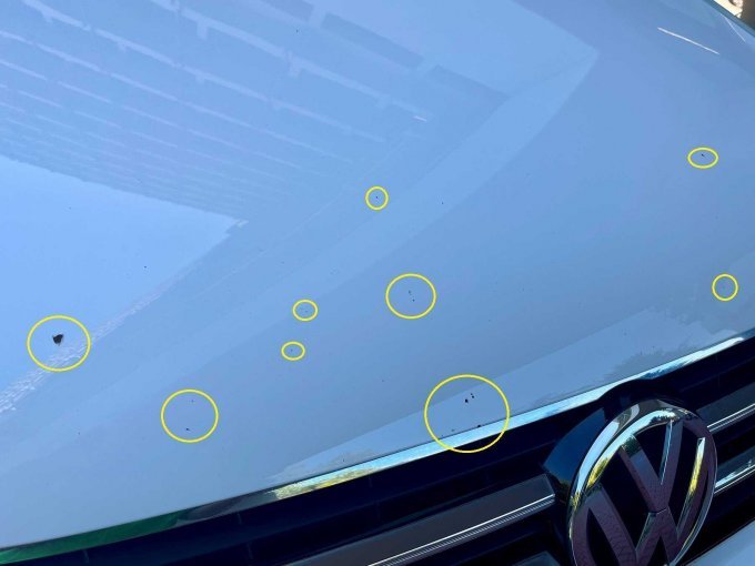 Ansicht Steinschlagschäden auf Motorhaube
