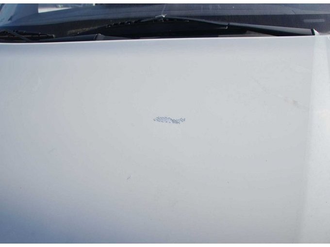 Ansicht Lackschaden Motorhaube