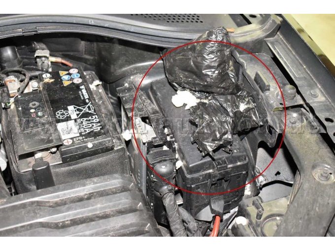 Motorraum: Marderschaden/-Spuren: Dämmmaterial angefressen