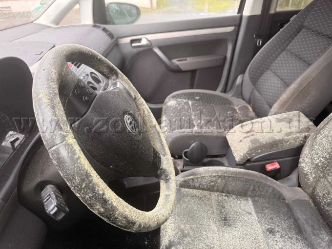 Innenraum starker Schimmelbefall