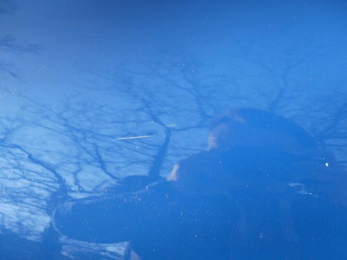 Beispiel Kratzer Motorhaube