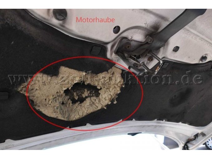 Motorhaubendämmung schadhaft