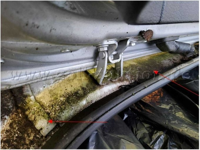 Fahrzeug im Heckbereich vermost