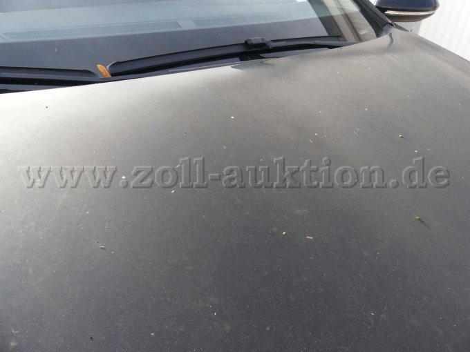 Verwitterung Beschädigung Motorhaubenlack