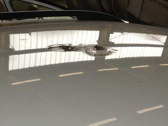 1 Volkswagen Golf Variant 1,6 TDI Comfortline – foto 9 – kavel bij Zoll-Auktion, Wilhelmshaven