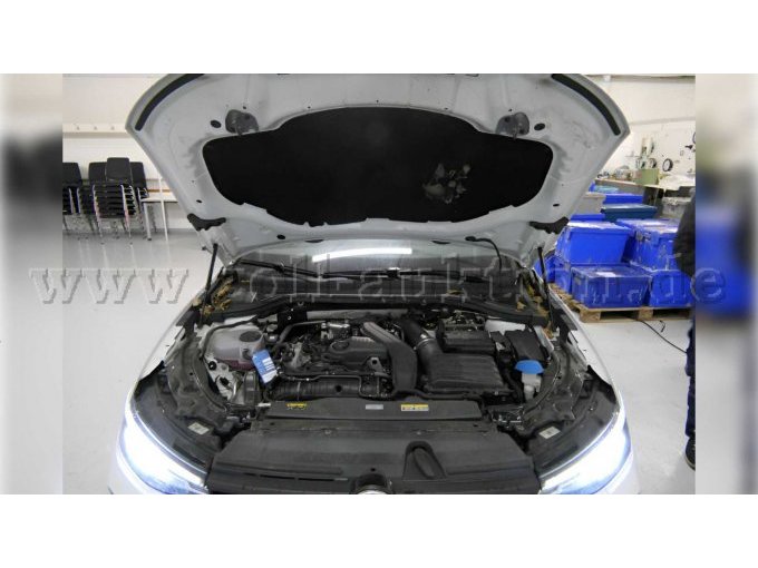 Motorhaube mit Marderschaden