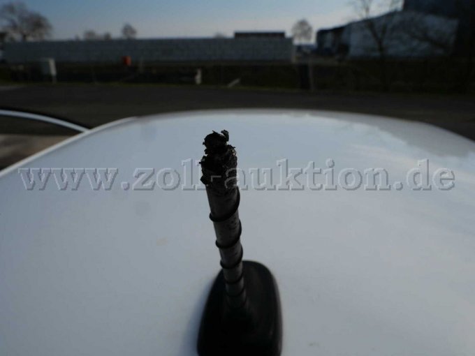 Antenne zerbissen