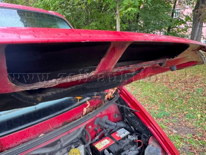 Korrosion Motorhaube