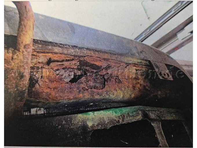 Rost 7