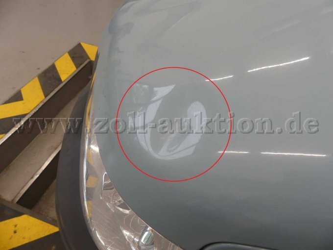Motorhaube Delle
