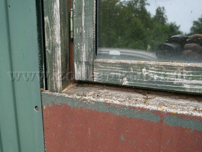 Schaden Fenster