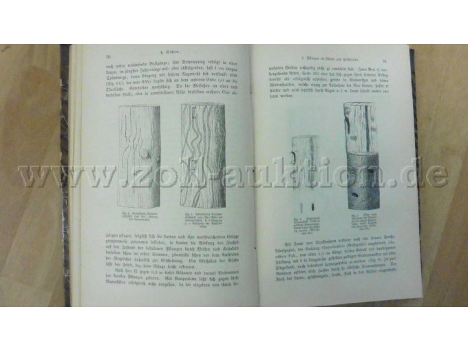 Seite 30 und 31 des Buches