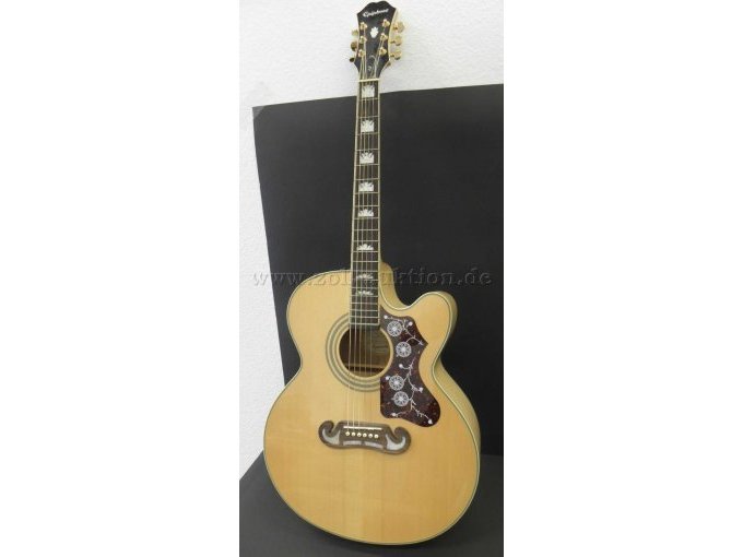 Gitarre Epiphone stehend leicht seitlich