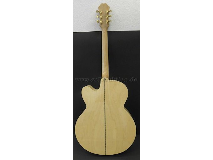 Gitarre Epiphone stehend Rückseite