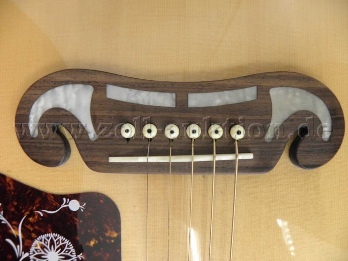Gitarre Epiphone Steg