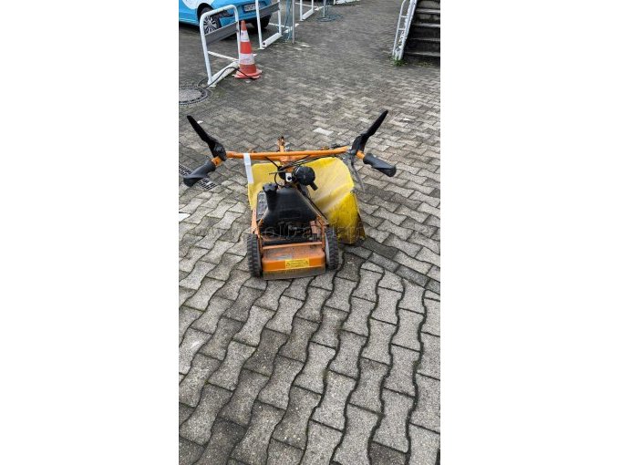 Ansicht Wiesenmäher III