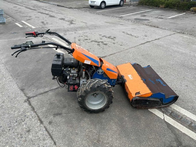 Irus Wiesenmäher
Seitenansicht