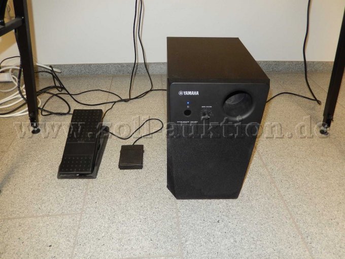Subwoofer und Pedale