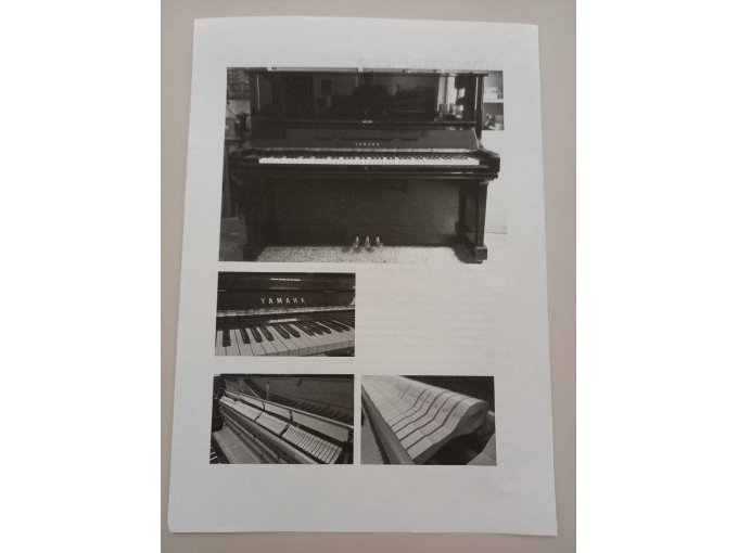 Bilder zum Gutachten