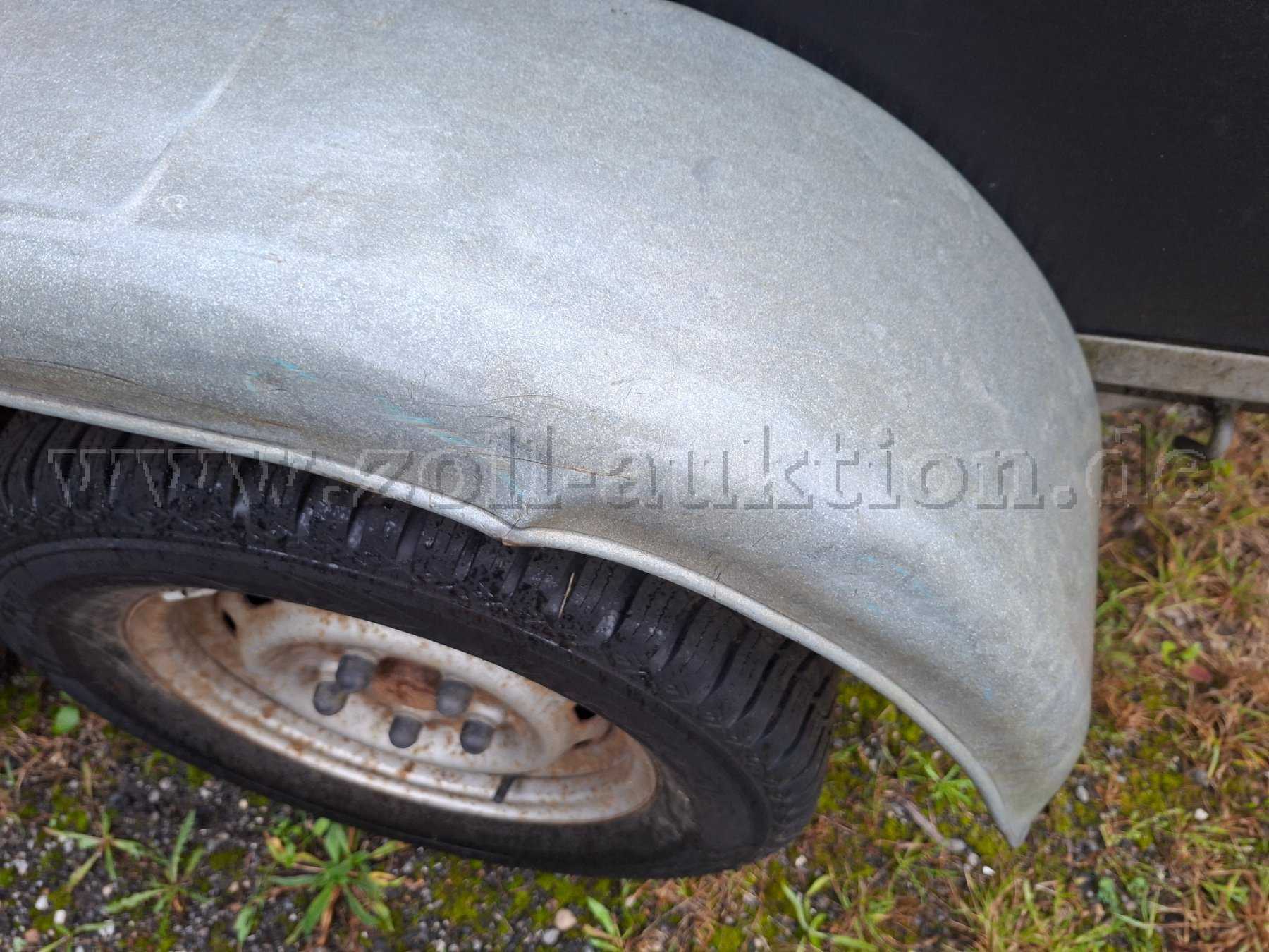 Koflügel links von hinten