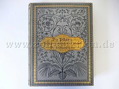 1 antiquarisches Buch -Die Pflanze. Vorträge aus dem Gebiete der Botanik- 1882
