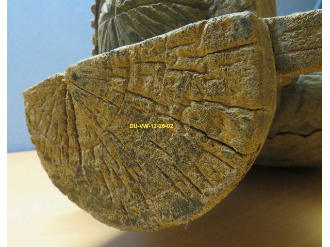 Ansicht Detail Kopfbedeckung Oberseite