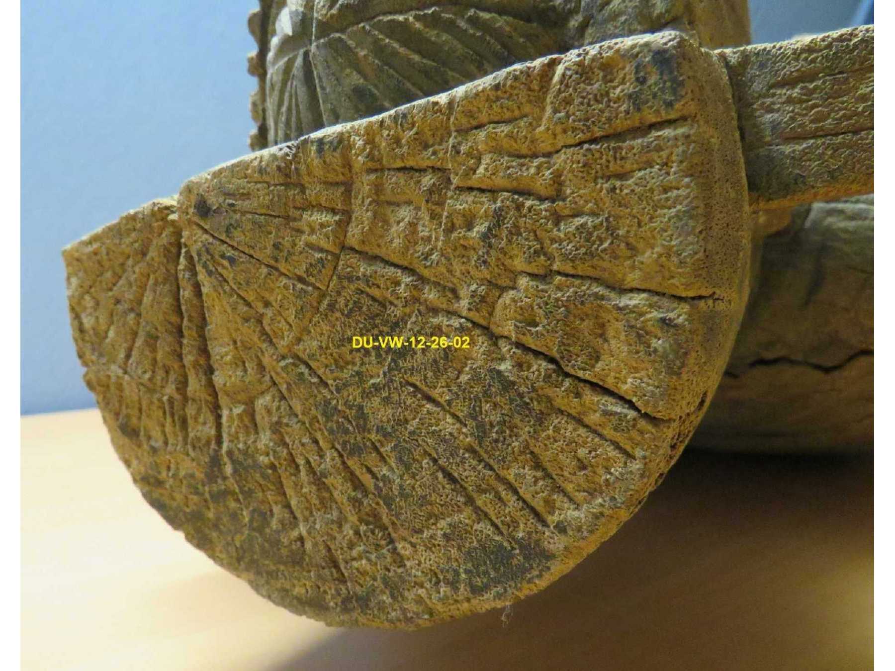 Ansicht Detail Kopfbedeckung Oberseite