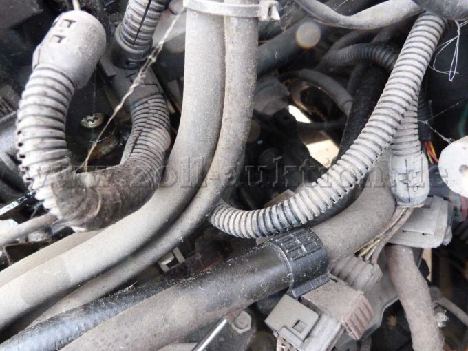 Detailsansicht Schläuche