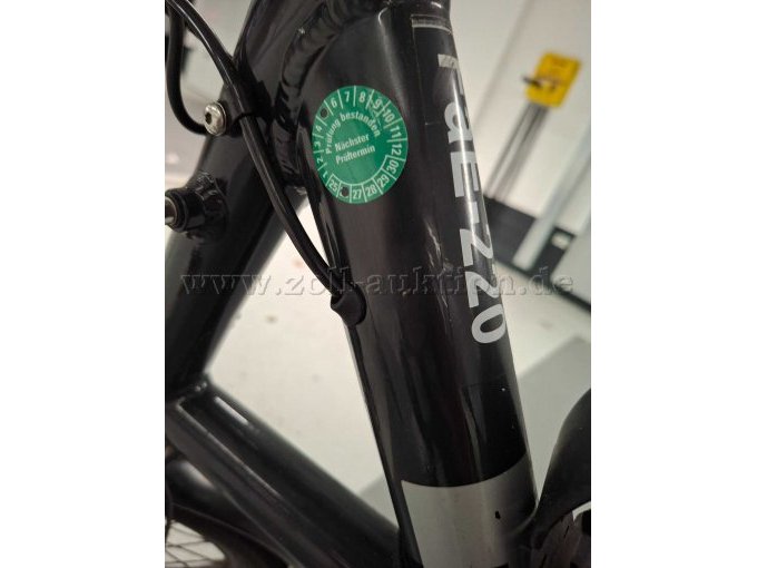 Detail Kratzer am Rahmen