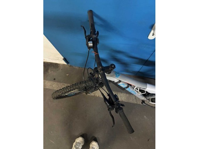 1 original Carver Strict 120 Damenfahrrad 29 Zoll – foto 2 – kavel bij Zoll-Auktion, Mainz
