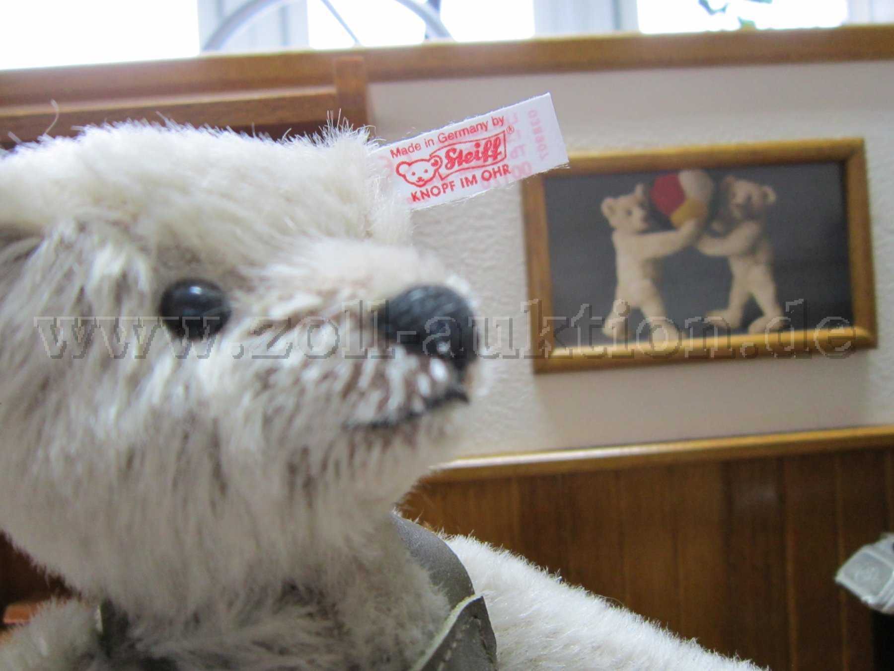 Kopf mit Fahne Steiff